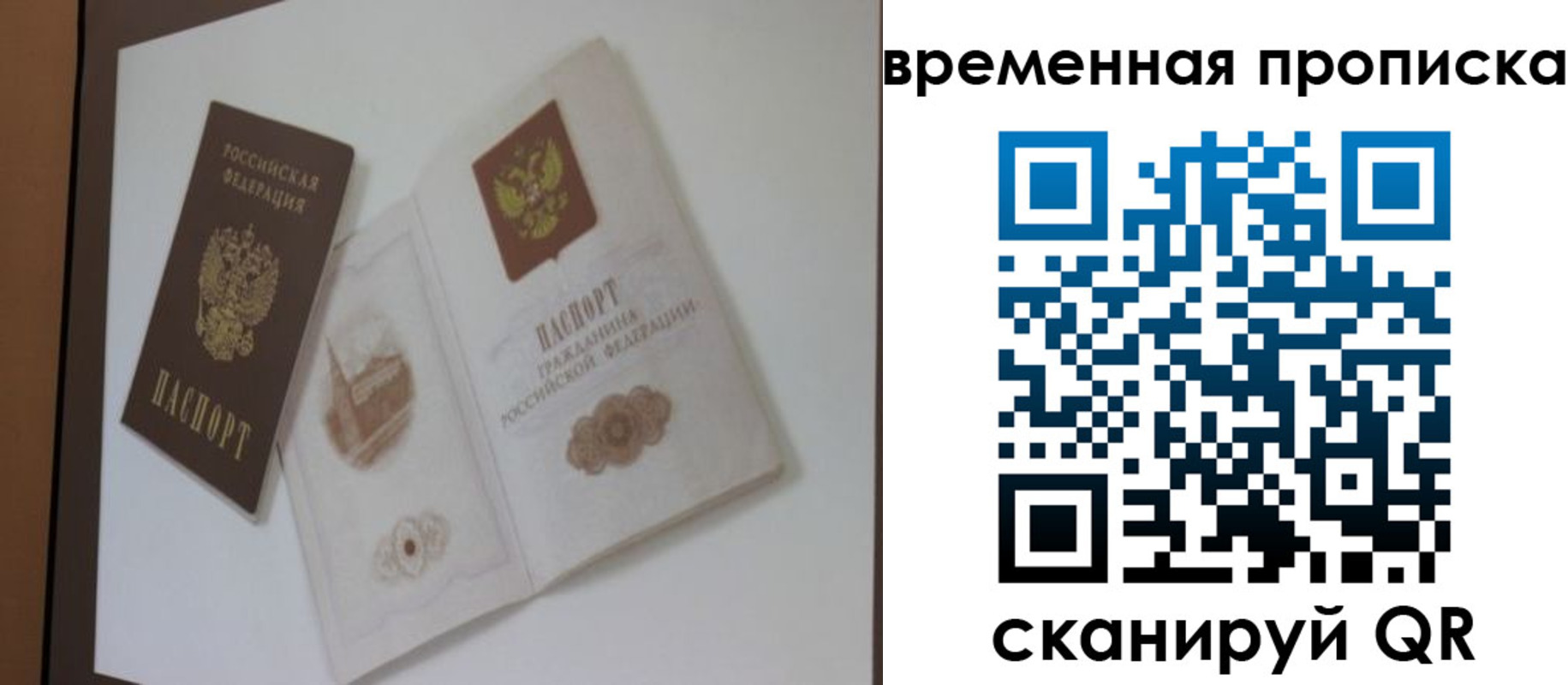 прописка 2025 в Новодвинске