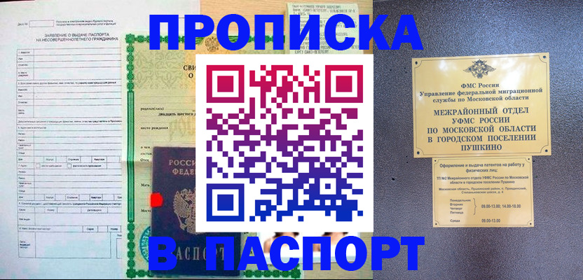 временная регистрация госуслуги в Новодвинске
